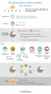 Infographie Blended